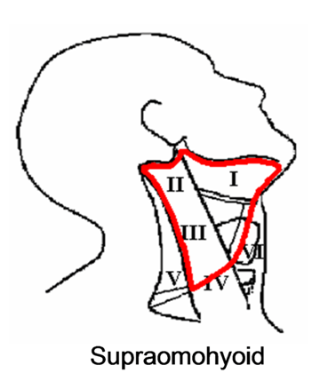 Head and Neck Dissection 29