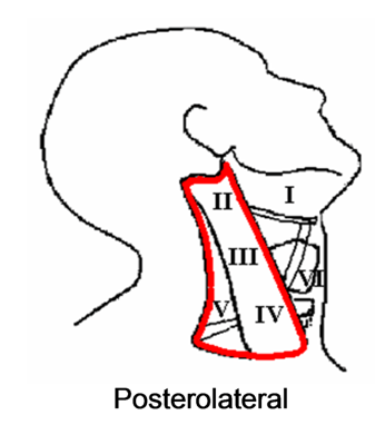 Head and Neck Dissection 33